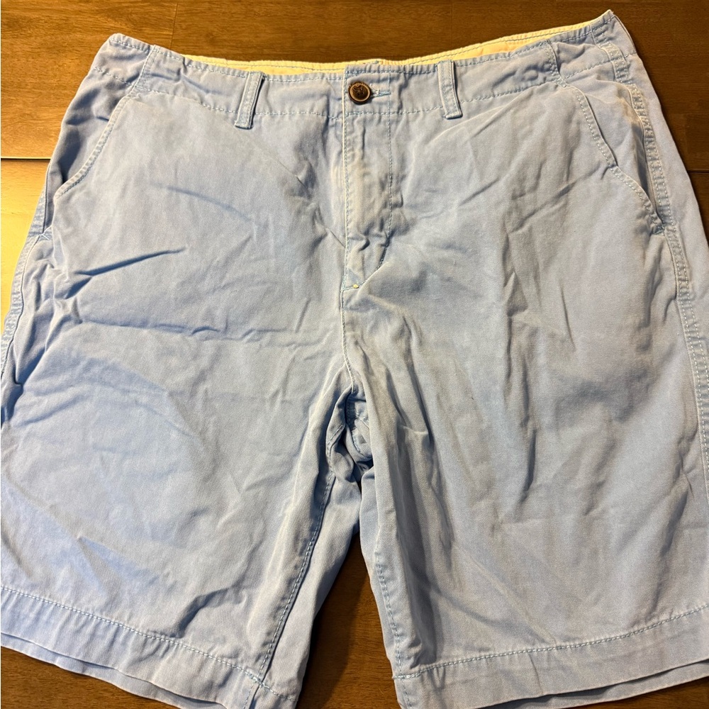 American Eagle Outfitters Blue Flat Front Shorts